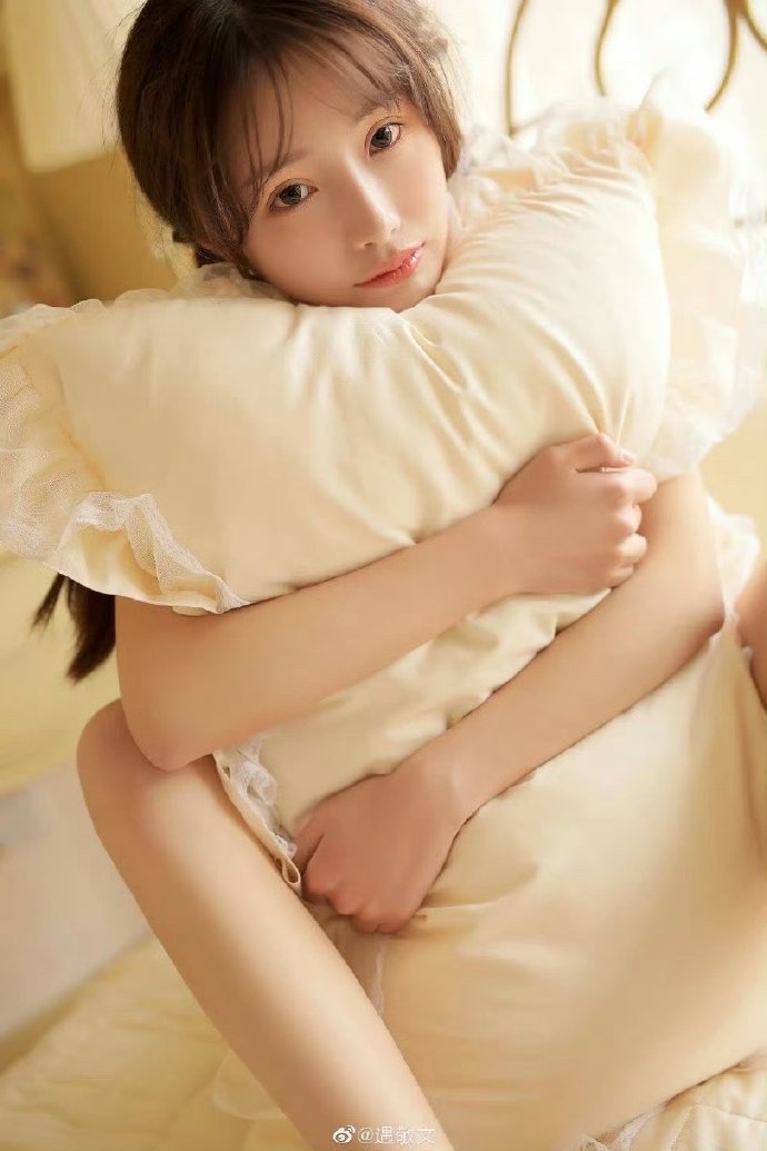 甄嬛传 封面